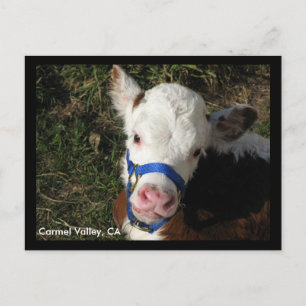 Carmel Valley, CA Postcard Postkarte