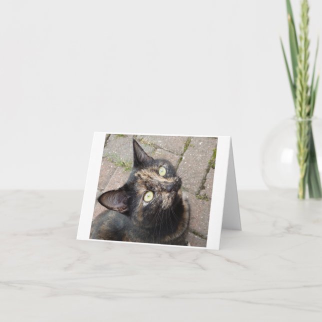 Carmen Karte (Vorderseite)