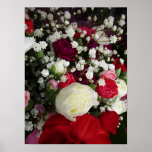 Carnation and Baby Breaths Blume Bouquet Poster