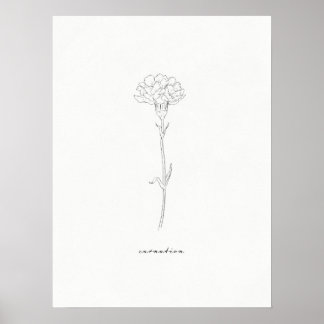 Carnation Blume Print Poster