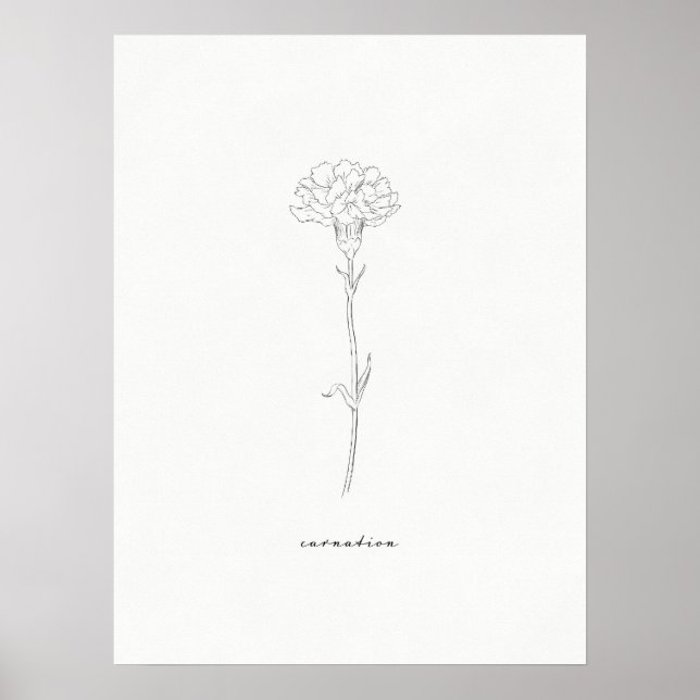 Carnation Blume Print Poster (Vorne)
