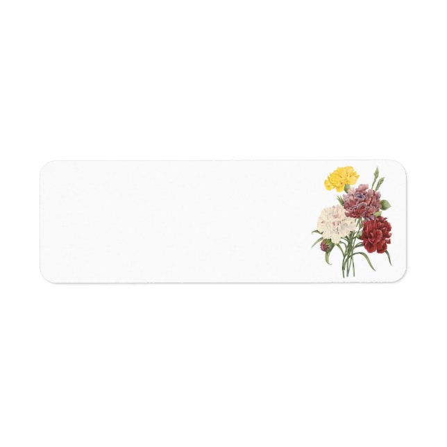 Carnation(Dianthus sp.) von Redouté (Vorne)