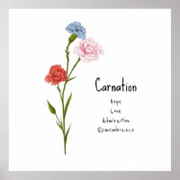 Carnation January Birth Blume Wasserfarbe Kunst