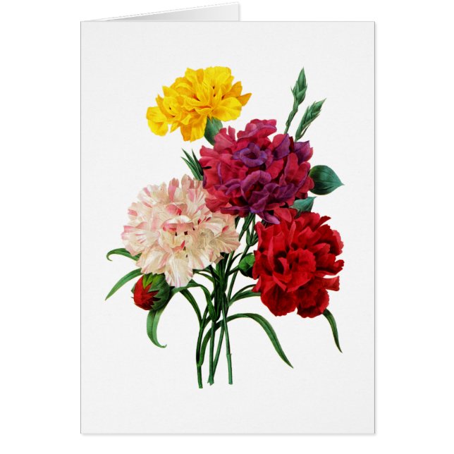 Carnation und Marigold Bouquet von Redoute (Vorne)