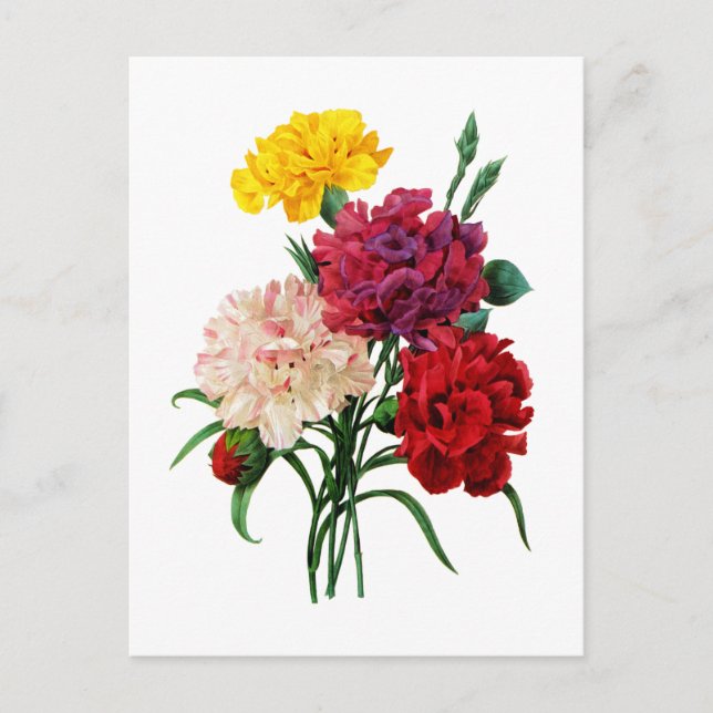 Carnation und Marigold Bouquet von Redoute Postkarte (Vorderseite)