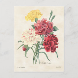 Carnations Vintage Botanical Postkarte
