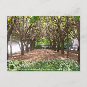 Carnegie Museum Postkarte