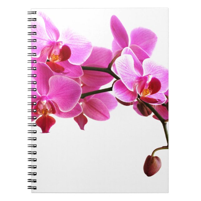 Carnet Orchidée Notizblock (Vorderseite)