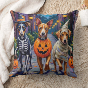 Carolina beim Trick-or-Treat in einem Halloween-Ko Kissen