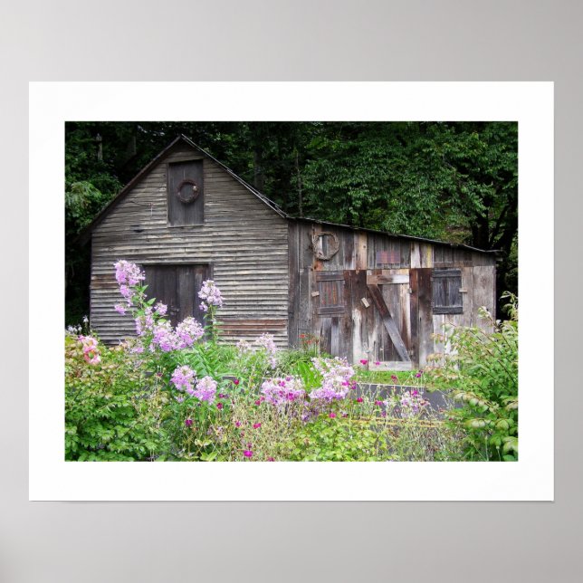 Carolina Cabin Poster (Vorne)