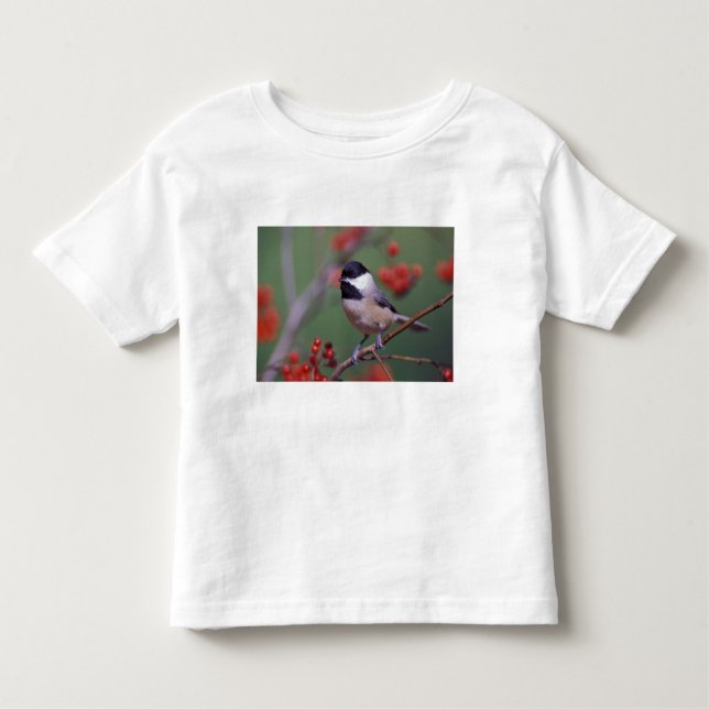 Carolina Chickadee Kleinkind T-shirt (Vorderseite)