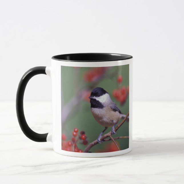 Carolina Chickadee Tasse (Links)