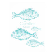 Carolina Coast Vintage Türkis Salz Wasser Fisch