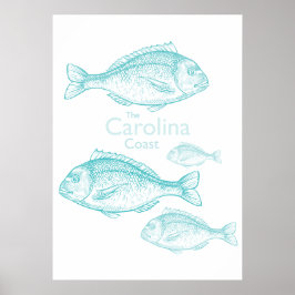 Carolina Coast Vintage Türkis Salz Wasser Fisch Poster