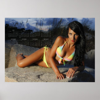 Carolina Coastal Beauties: 2013 Calendar Poster C