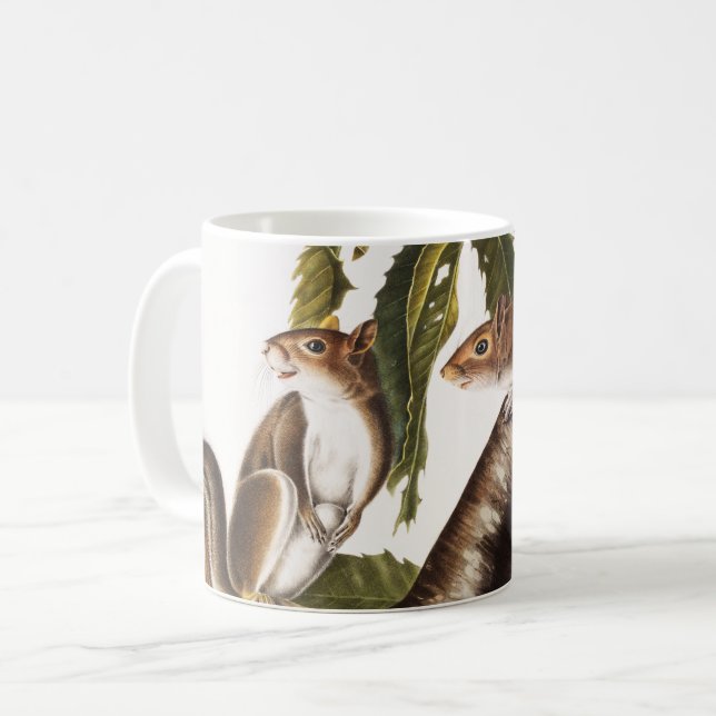 Carolina Gray Eichhörnchen (Sciurus Carolinensis) Kaffeetasse (Vorderseite Links)