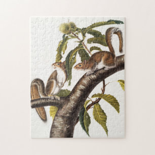 Carolina Gray Eichhörnchen (Sciurus Carolinensis) Puzzle