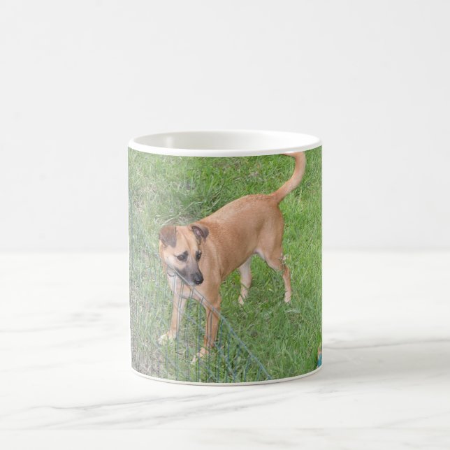 Carolina-Hund volles 2.png Kaffeetasse (Mittel)