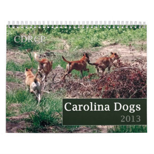 Carolina-Hundekalender 2013 Kalender