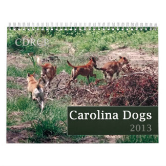 Carolina-Hundekalender 2013 Kalender