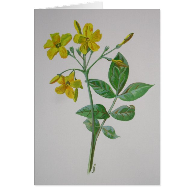 Carolina Jasmine Botanische Kunst (Vorne)