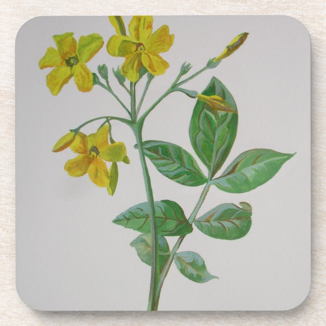 Carolina Jasmine Botanische Kunst Getränkeuntersetzer (Vorderseite)