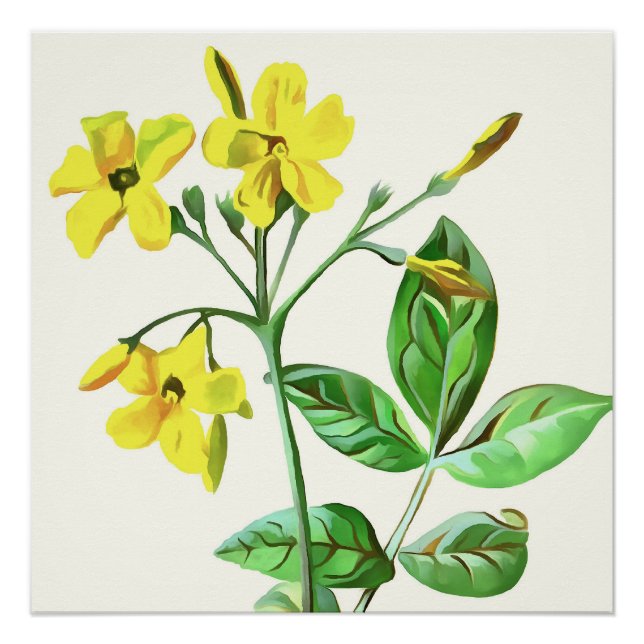 Carolina Jasmine Botanische Kunst Poster (Vorderseite)