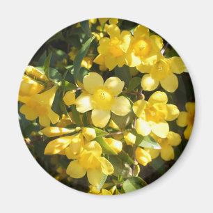 Carolina Jasmine Magnet
