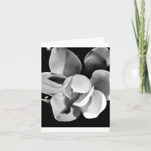Carolina Magnolia - Leere Faltkarte Karte
