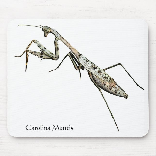Carolina Mantis Mousepad (Vorne)