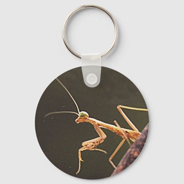 Carolina Mantis Schlüsselanhänger (Vorderseite)