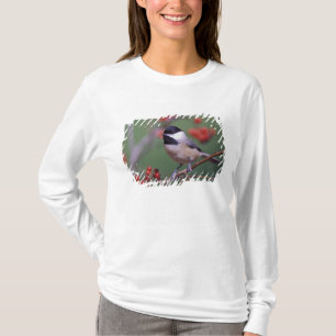 Carolina-Meise T-Shirt