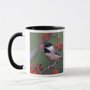 Carolina-Meise Tasse
