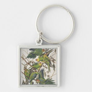 Carolina Parakeet, aus "Birds of America", 1829 Schlüsselanhänger