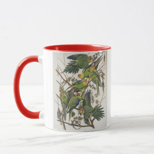 Carolina Parakeet, aus "Birds of America", 1829 Tasse