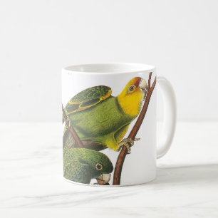 Carolina Parakeet von Audubon Kaffeetasse