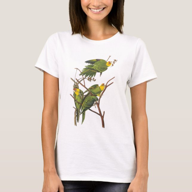 Carolina Parakeet von Audubon T-Shirt (Vorderseite)