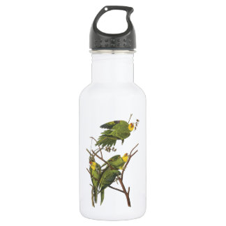 Carolina Parakeet von Audubon Trinkflasche
