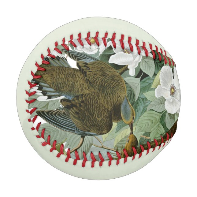 Carolina Pigeon Audubon Morning Dove Baseball (Vorderseite Links)