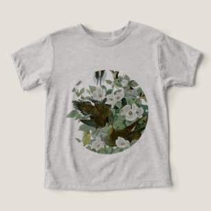 Carolina Pigeon Audubon Morning Dove Bird