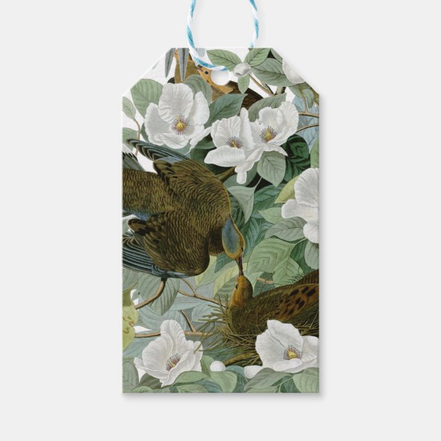 Carolina Pigeon Audubon Morning Dove Geschenkanhänger (Vorderseite)