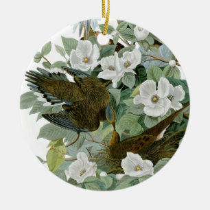 Carolina Pigeon Audubon Morning Dove Keramik Ornament