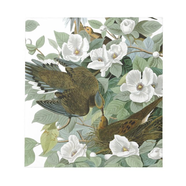 Carolina Pigeon Audubon Morning Dove Notizblock (Vorderseite)