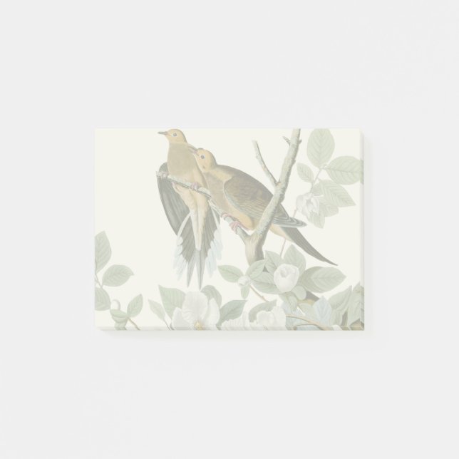 Carolina Pigeon Audubon Morning Dove Post-it Klebezettel (Vorderseite)