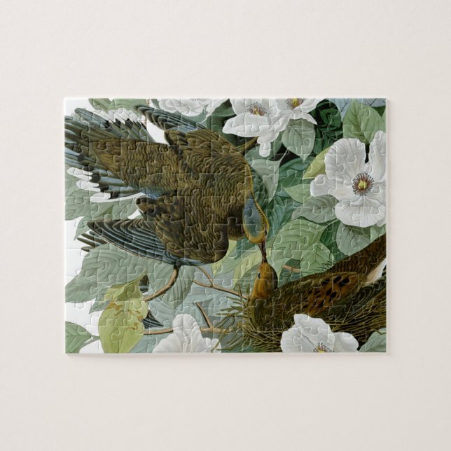 Carolina Pigeon Audubon Morning Dove Puzzle (Horizontal)