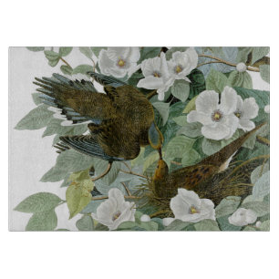 Carolina Pigeon Audubon Morning Dove Schneidebrett