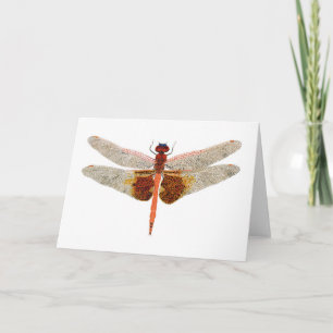 Carolina Saddlebags Dragonfly Karte