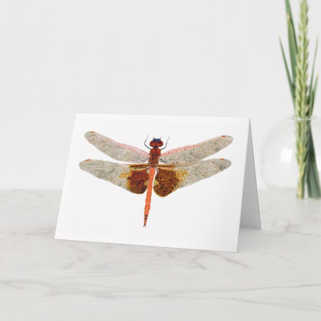 Carolina Saddlebags Dragonfly Karte (Vorderseite)