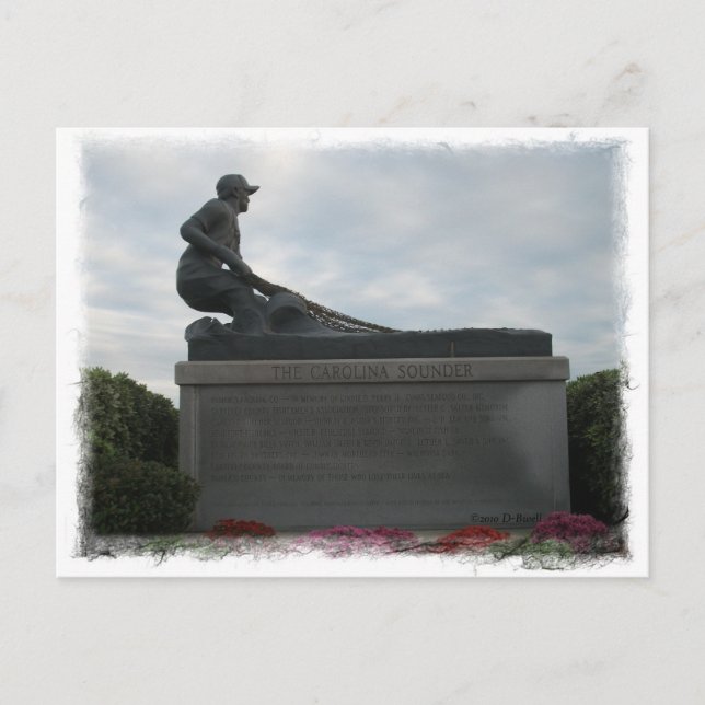 Carolina Sounder Postkarte (Vorderseite)