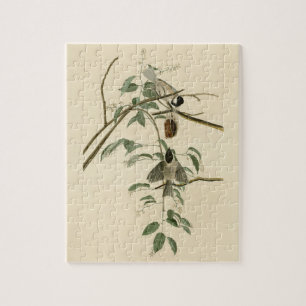 Carolina Titmouse von Audubons Vögeln von Amerika Puzzle